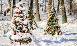 The Story of Christmas | English Teacher Melanie