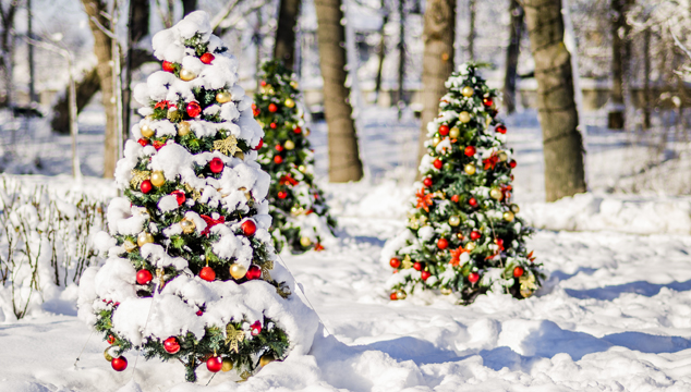 The Story of Christmas | English Teacher Melanie