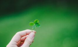 The Story of St. Patrick's Day | English Teacher Melanie