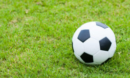 English Vocabulary: Play, Do, or Go? Verbs Used to Talk about Sports | English Teacher Melanie