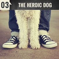 The Heroic Dog | Episode 3 of the English Teacher Melanie Podcast